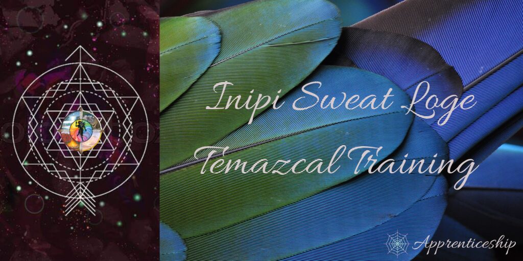 Sweat Lodge Inipi Temazcal Training Shamanic Trance Dance Sweat Lodge Inipi Temazcal Training Shamanic Trance Dance